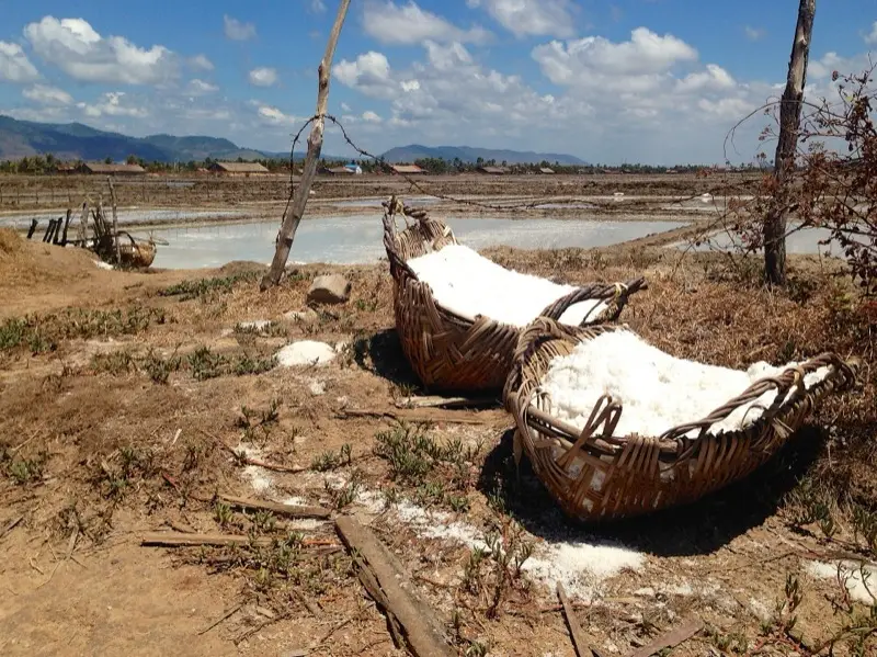 Manden met zeezout bij de zoutvelden van Kampot